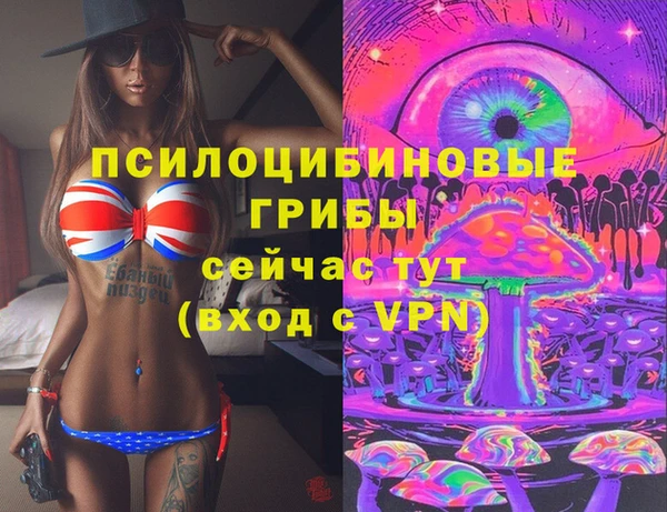 МДПВ Ладушкин