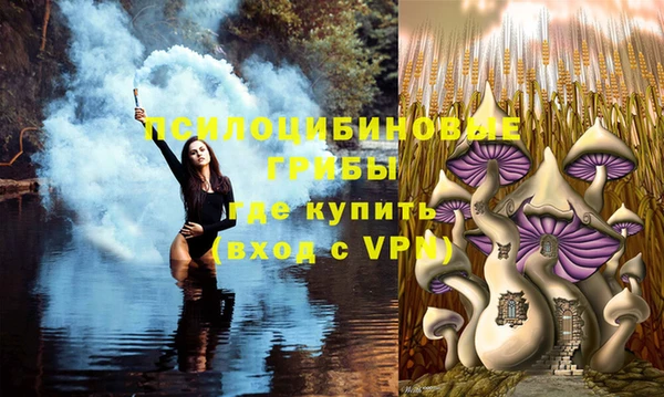 марки nbome Лабытнанги